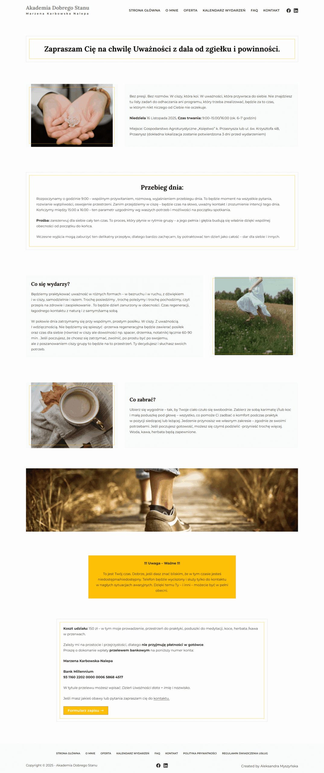 strona www z opisem kursu